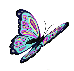 Butterfly-PNG